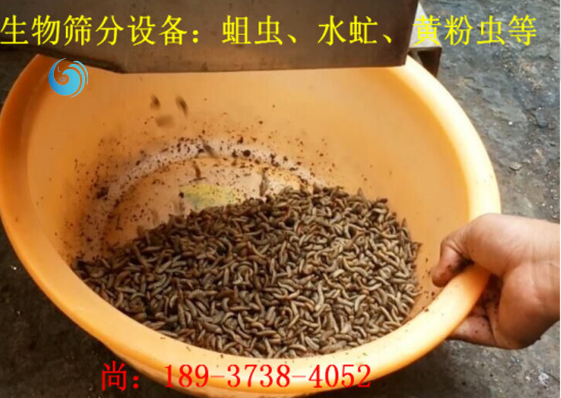 蛆虫筛选3层向日葵视频色版成人APP下载